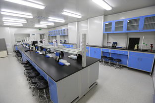 瑞可实验室设计狠抓管理竭诚打造百分百满意的东莞实验室装修设